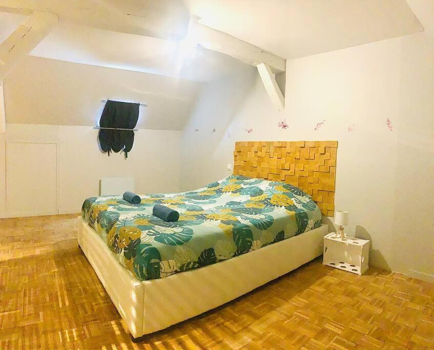 Grand Appartement Charme Ancien Et Confort Льо Ман Екстериор снимка